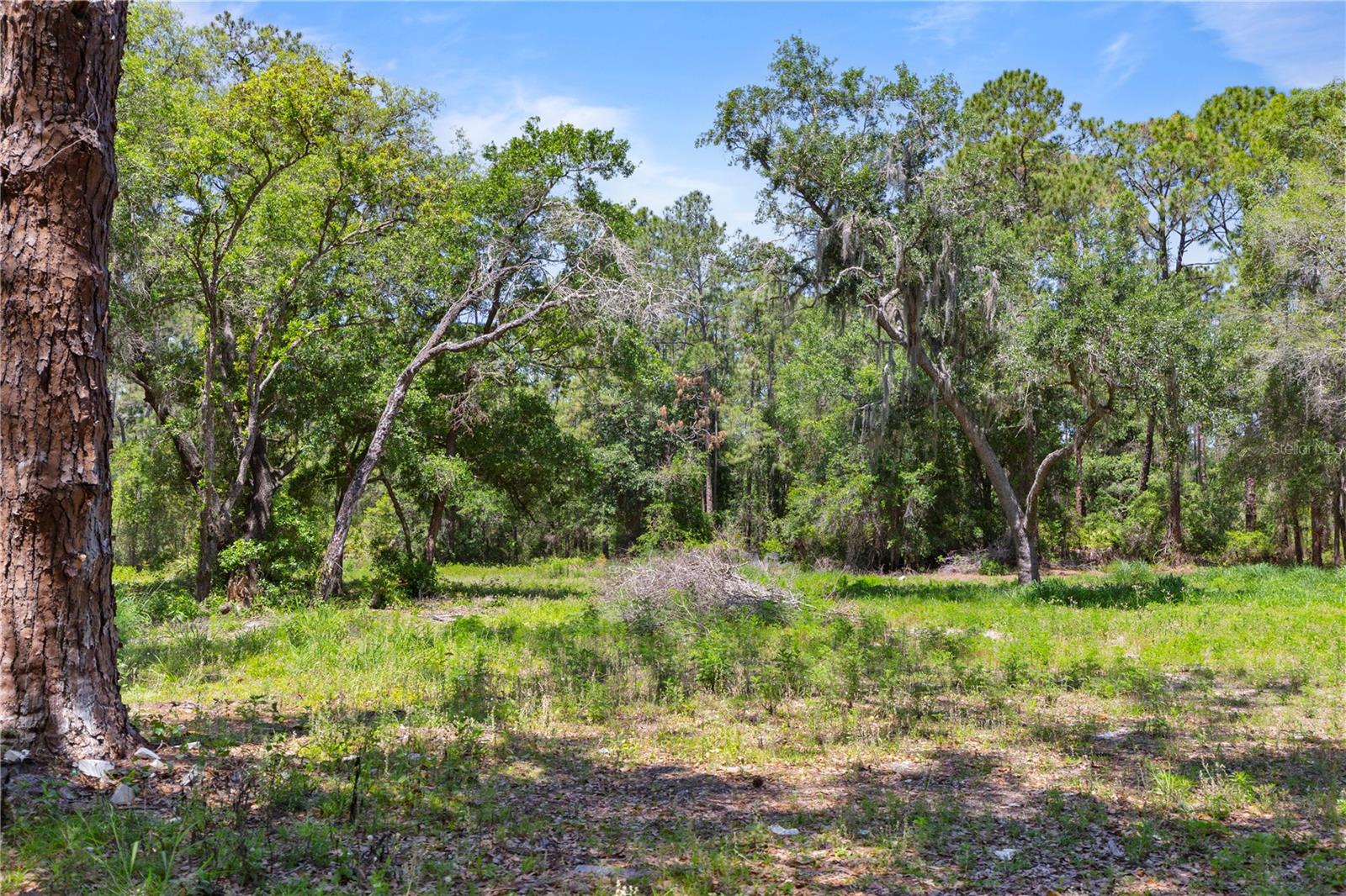 9121 FLORIDA BOYS RANCH RD, CLERMONT, FL, 34711