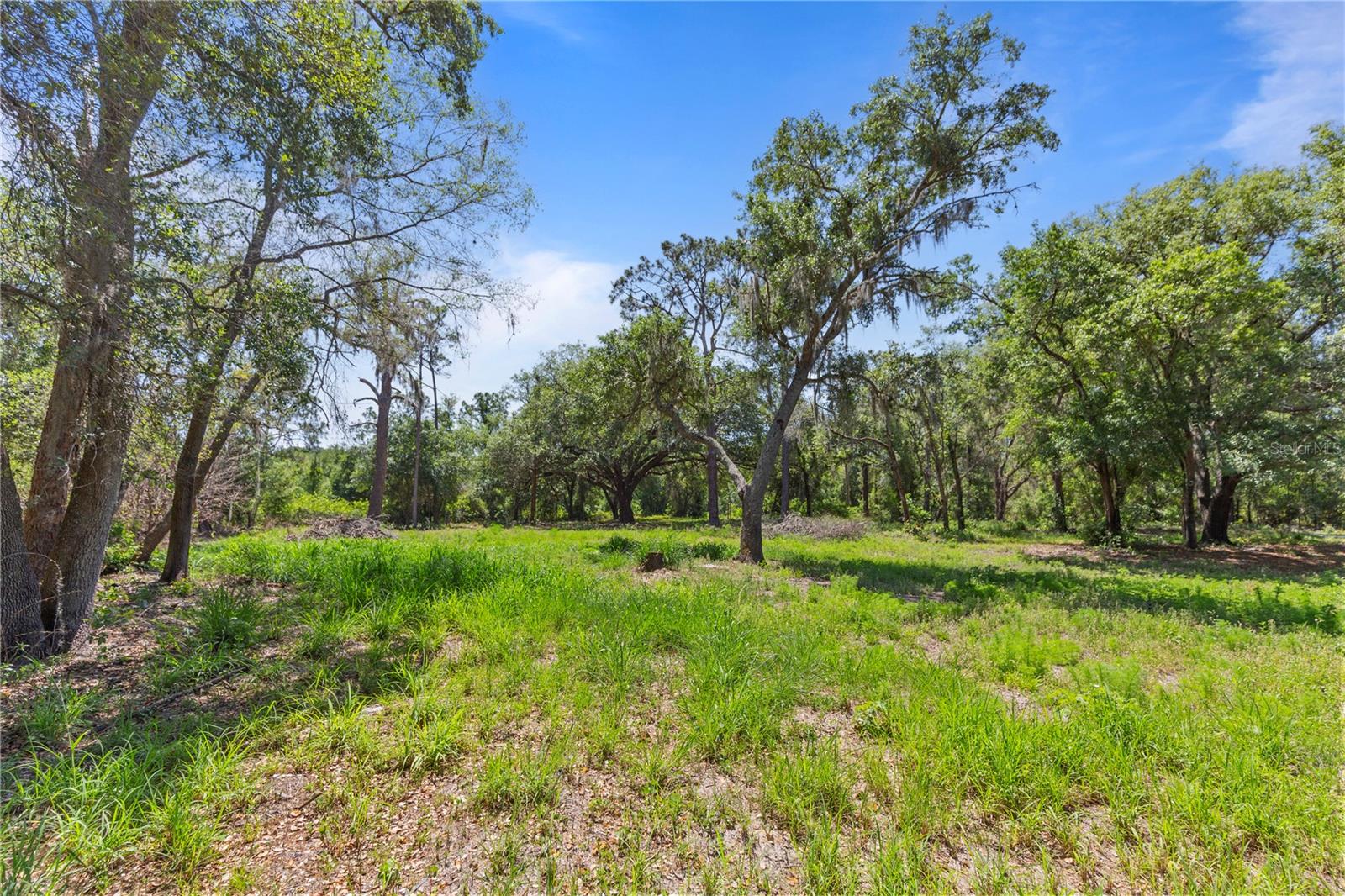 9121 FLORIDA BOYS RANCH RD, CLERMONT, FL, 34711