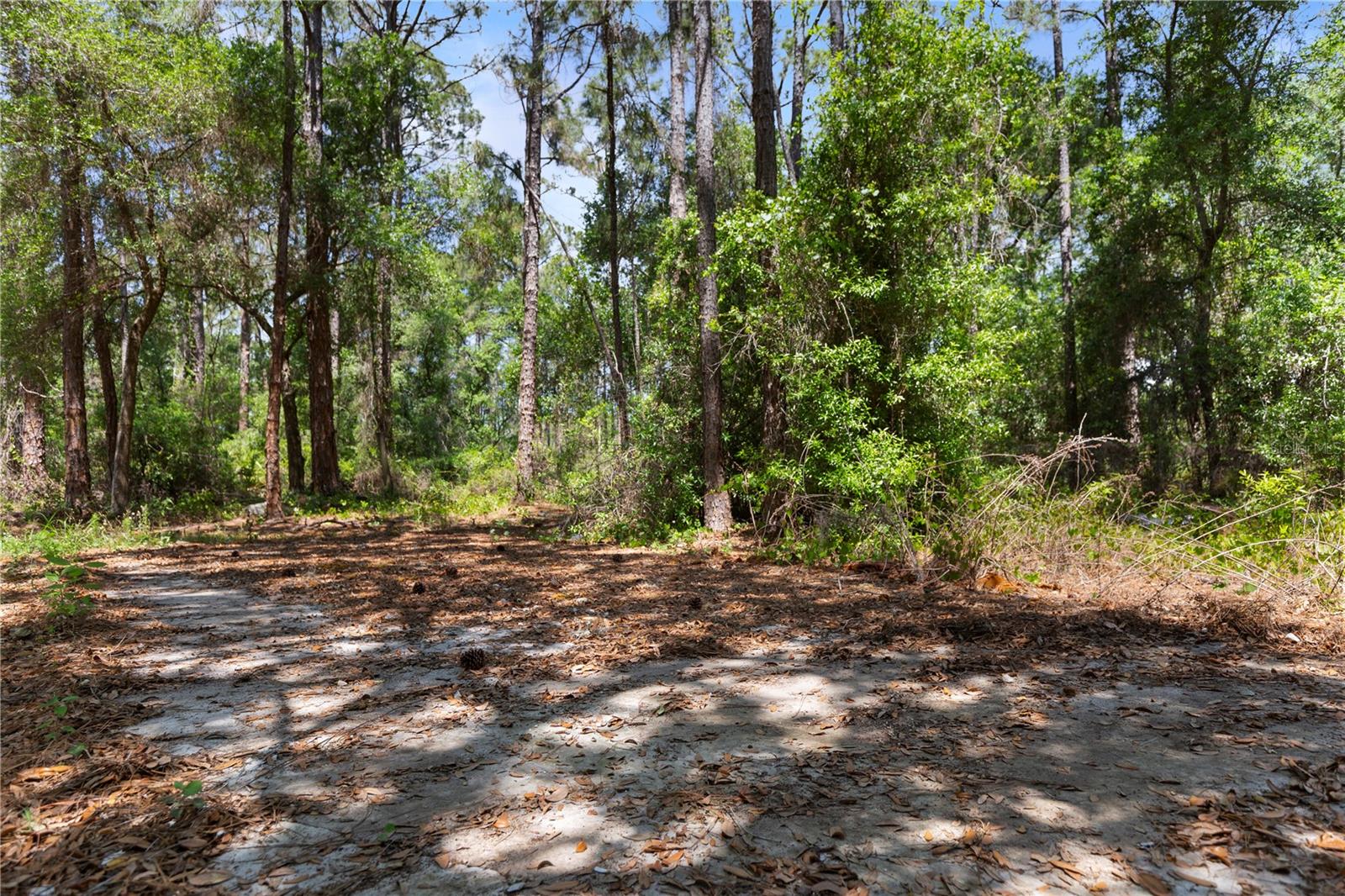 9121 FLORIDA BOYS RANCH RD, CLERMONT, FL, 34711