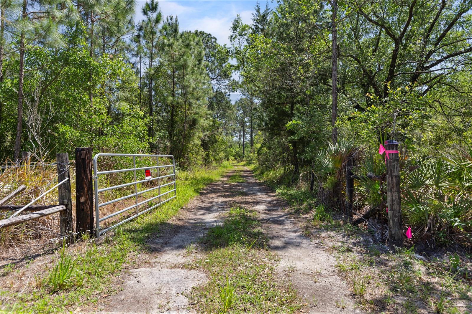 9121 FLORIDA BOYS RANCH RD, CLERMONT, FL, 34711