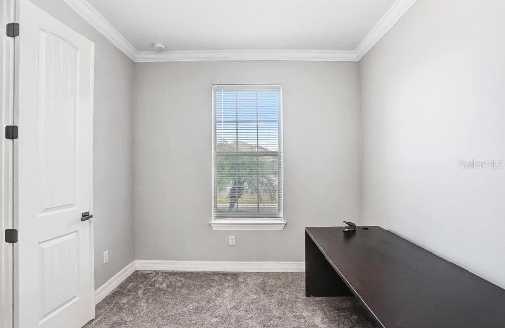 11677 BRIGHTON KNOLL LOOP, RIVERVIEW, FL, 33579