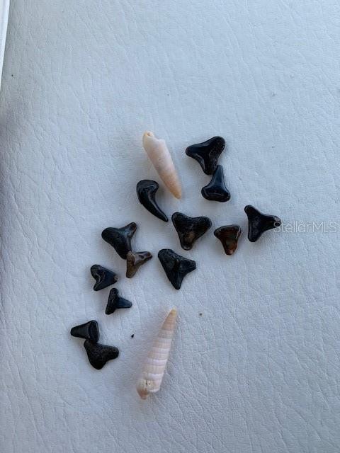 1537 CREST DR, ENGLEWOOD, FL, 34223