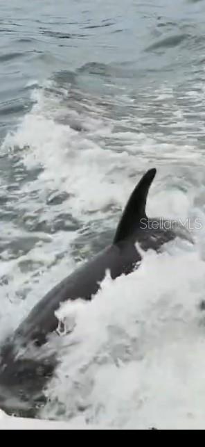 1537 CREST DR, ENGLEWOOD, FL, 34223