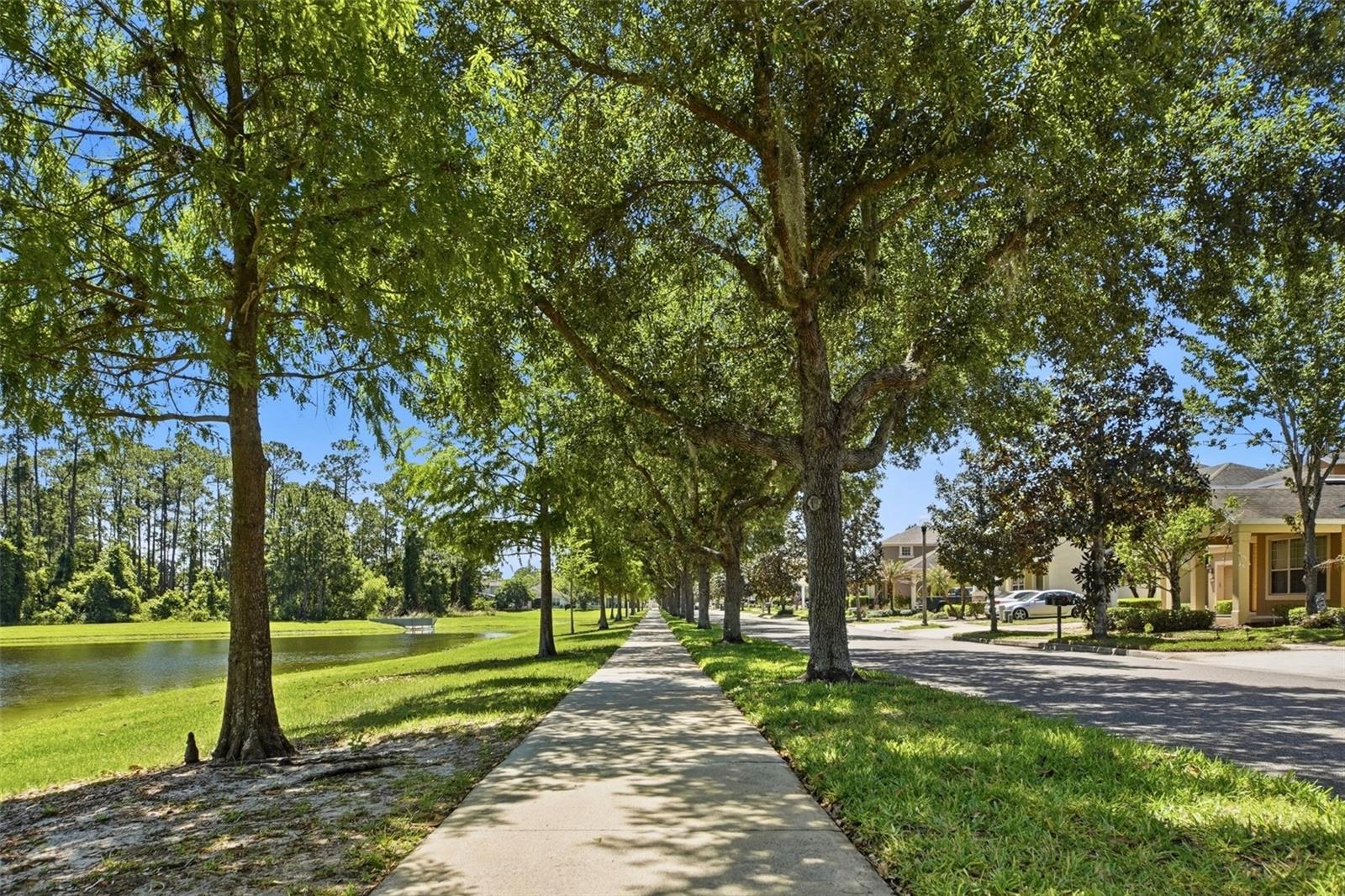 7519 BROFIELD AVE, WINDERMERE, FL, 34786