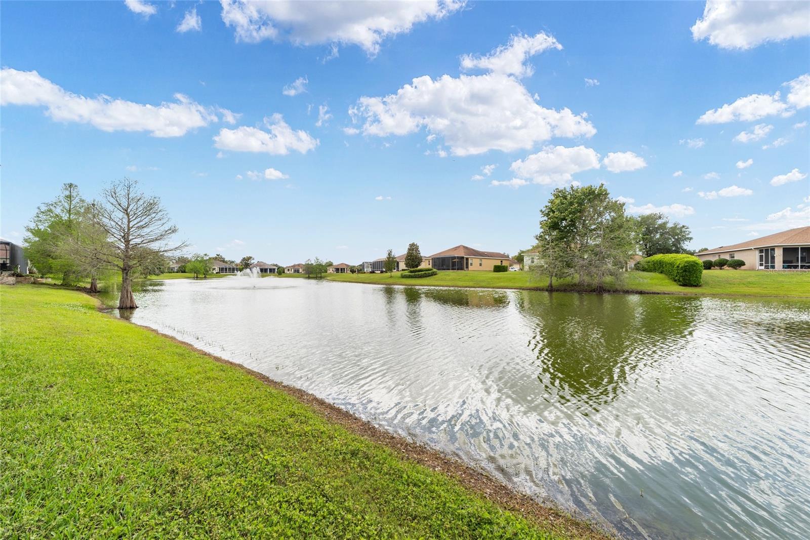 10174 LAKE MIONA WAY, OXFORD, FL, 34484