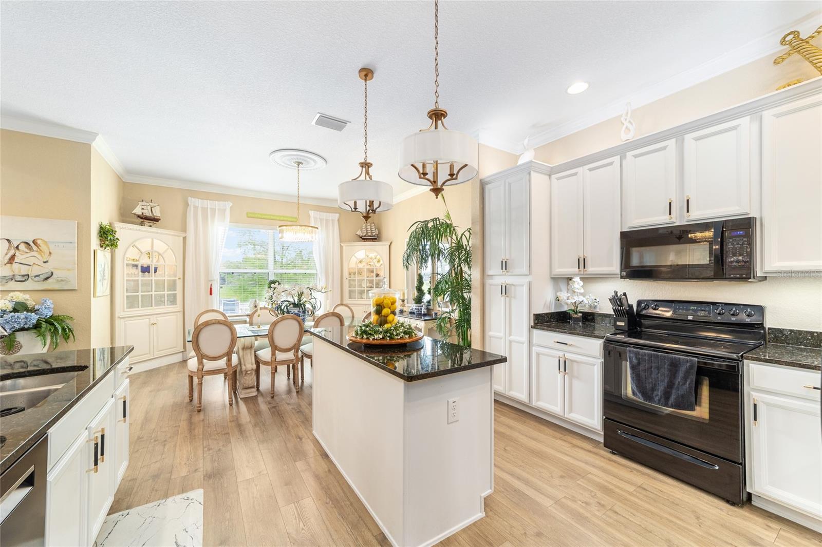 10174 LAKE MIONA WAY, OXFORD, FL, 34484