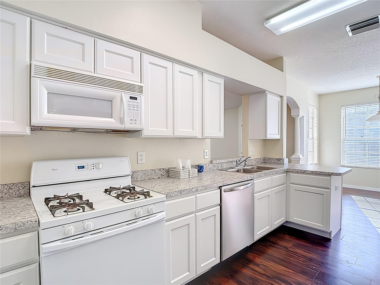 1931 SASSAFRAS DR, WESLEY CHAPEL, FL, 33543