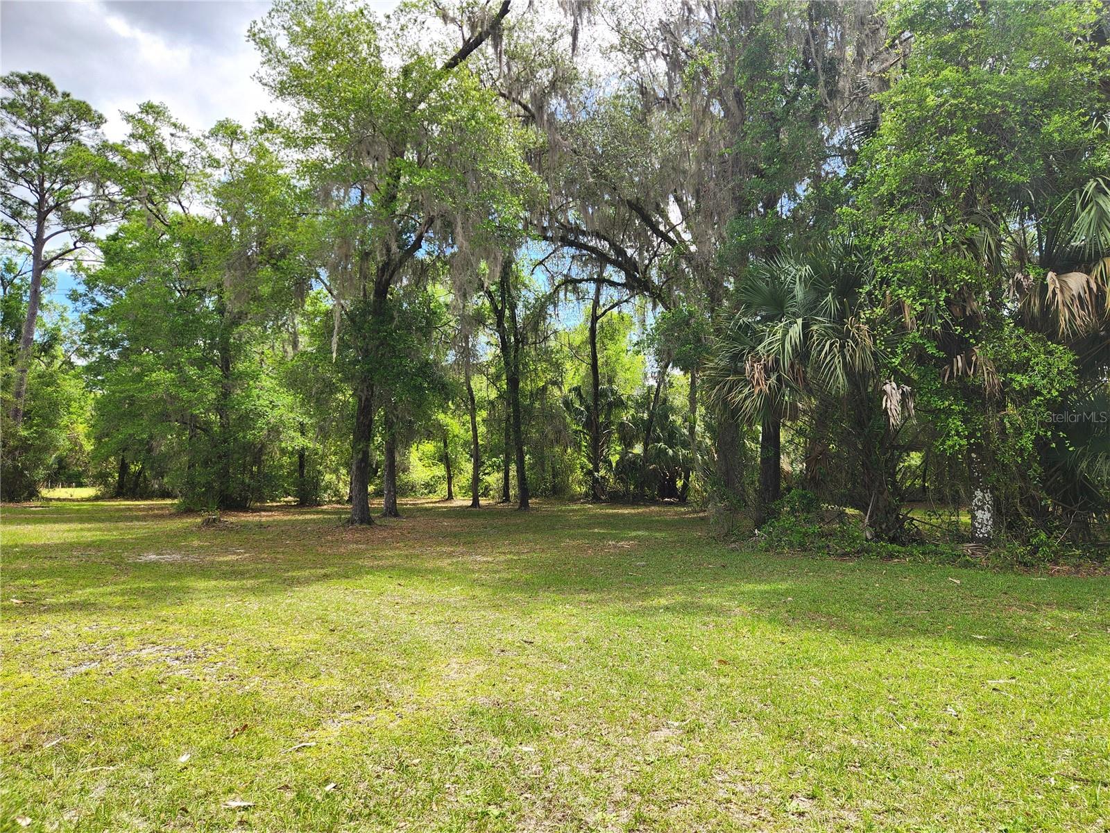24595 NE HIGHWAY 315, FORT MC COY, FL, 32134