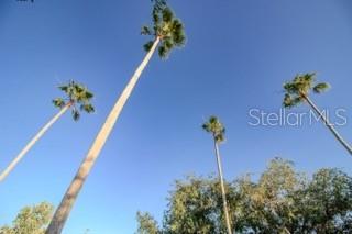 509 CYPRESS VIEW DR, OLDSMAR, FL, 34677