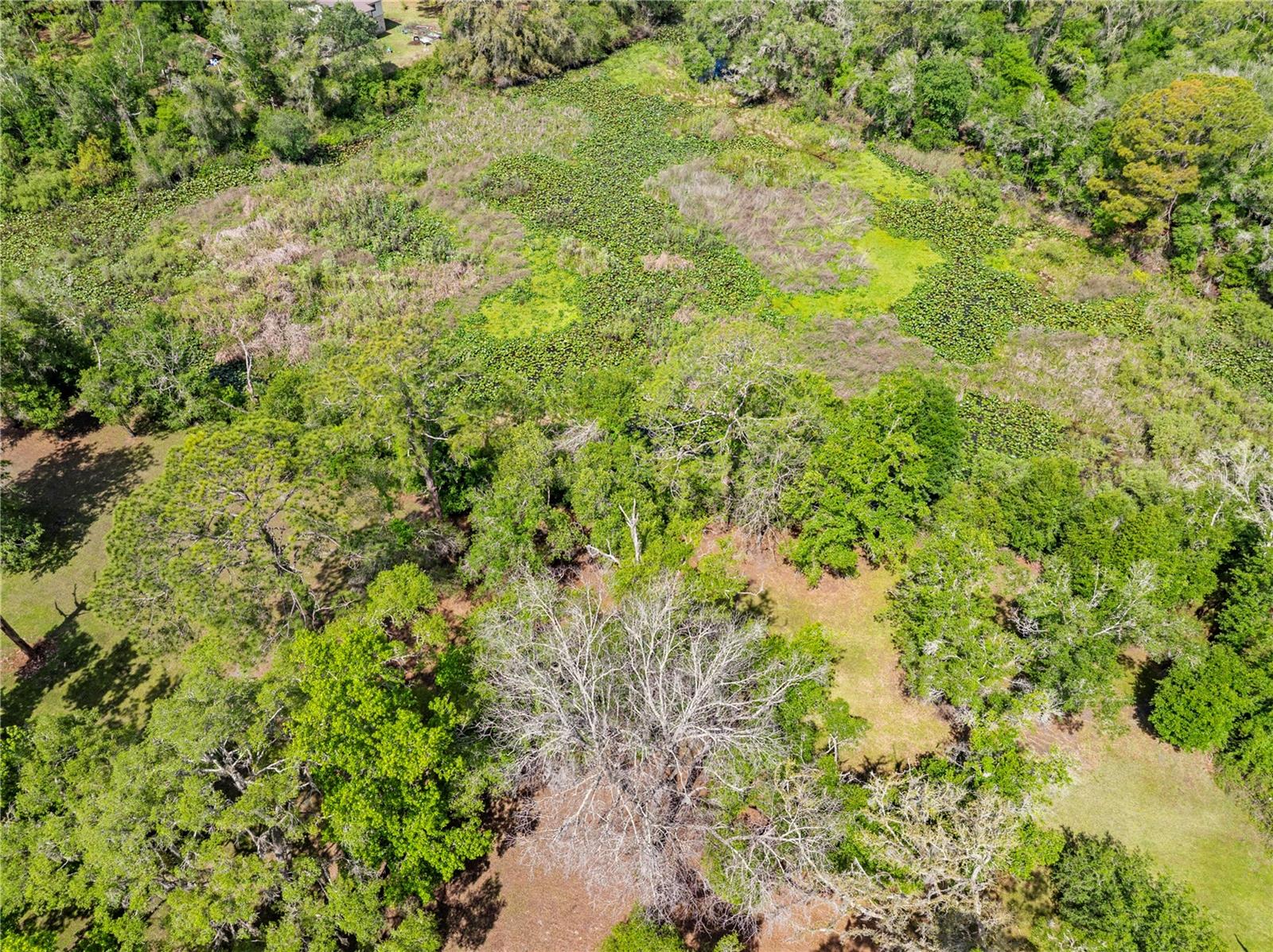 7347 PACKINGHAM DR, WEBSTER, FL, 33597