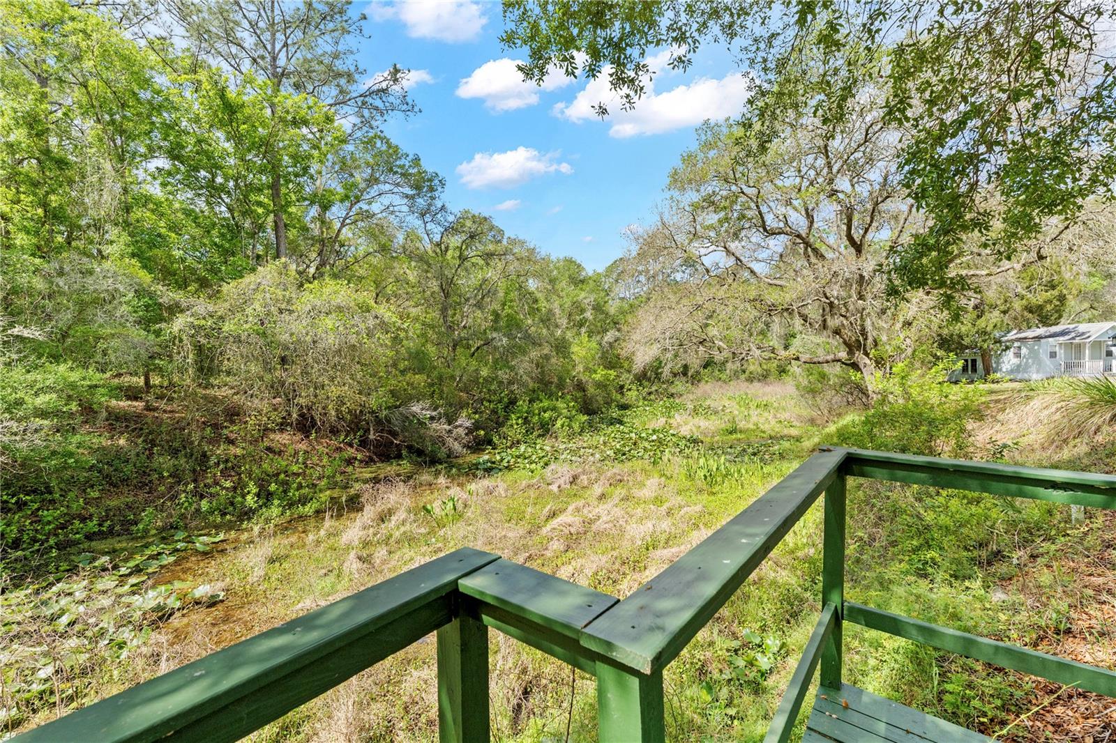 7347 PACKINGHAM DR, WEBSTER, FL, 33597