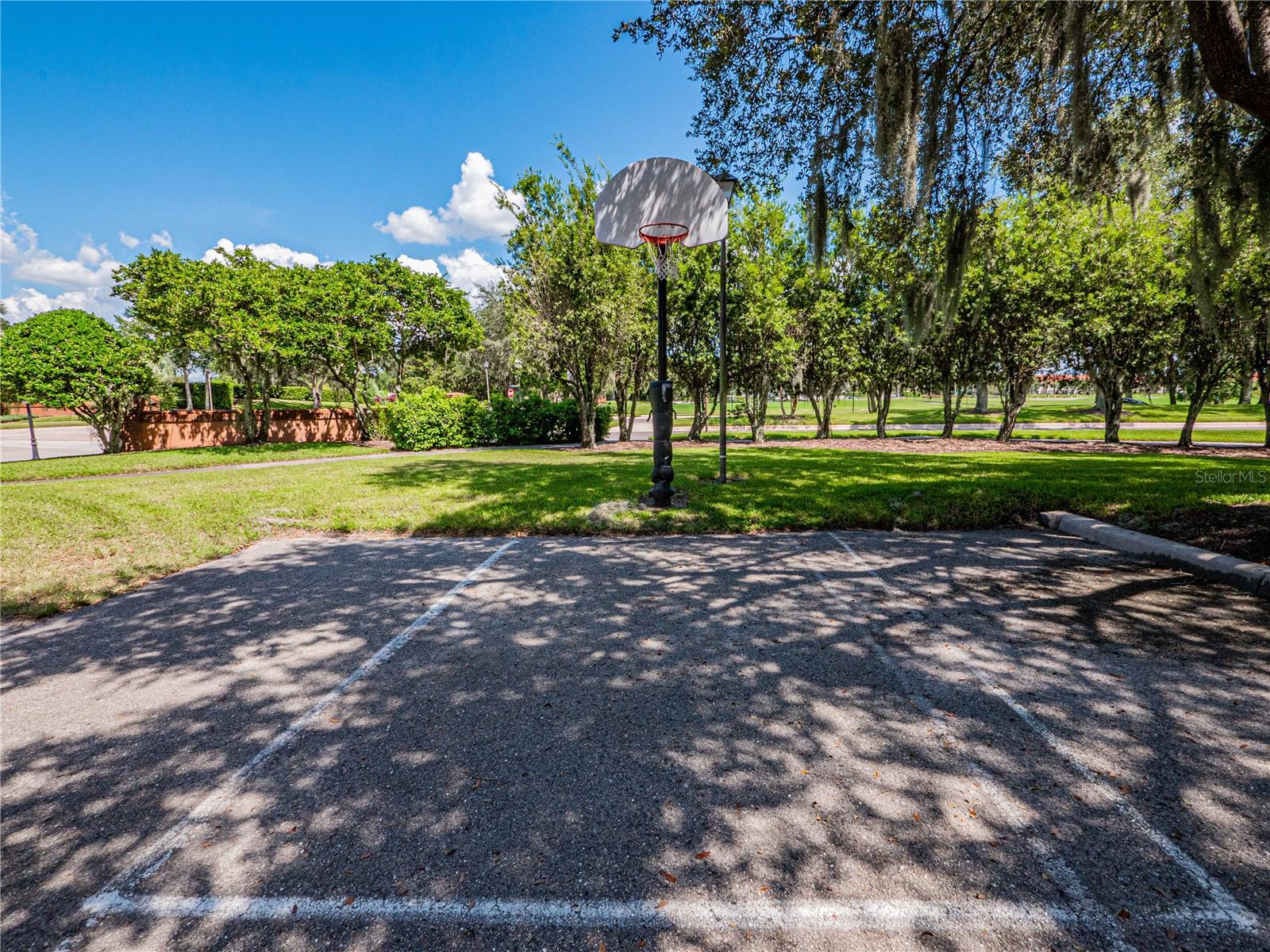 774 GRASSLANDS VILLAGE CIR #88, LAKELAND, FL, 33803