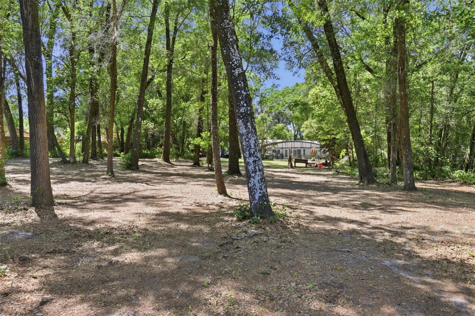 1433 S RIDGEWOOD AVE, DELAND, FL, 32720