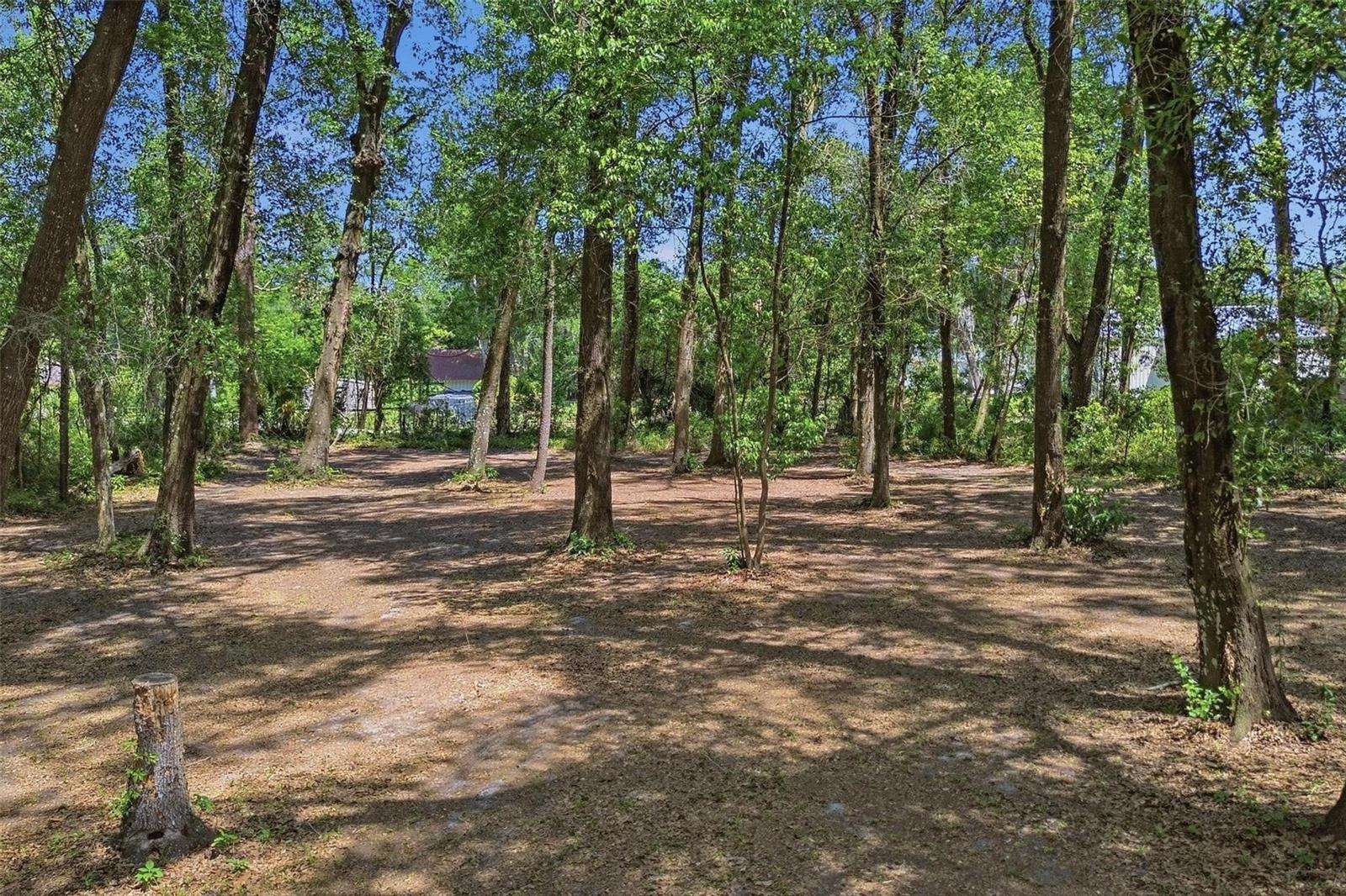 1433 S RIDGEWOOD AVE, DELAND, FL, 32720