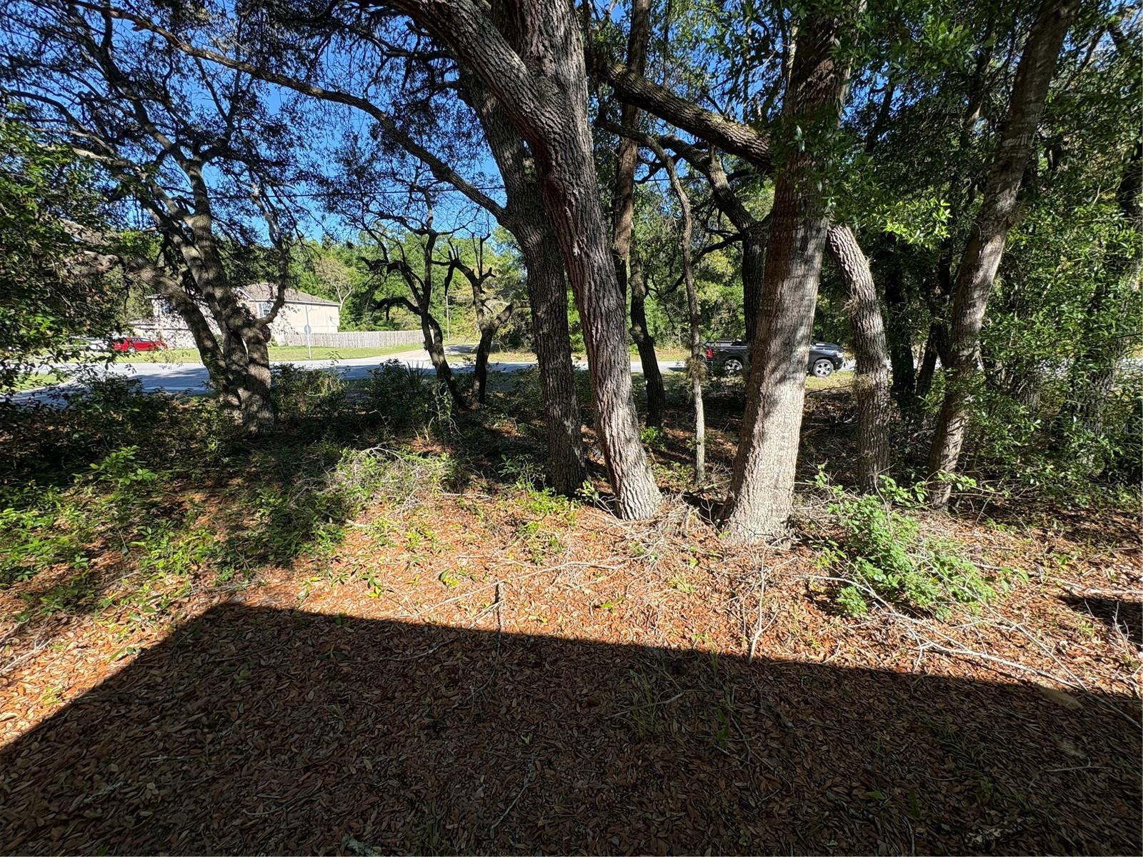 2758 W CENTURY BLVD, CITRUS SPRINGS, FL, 34434