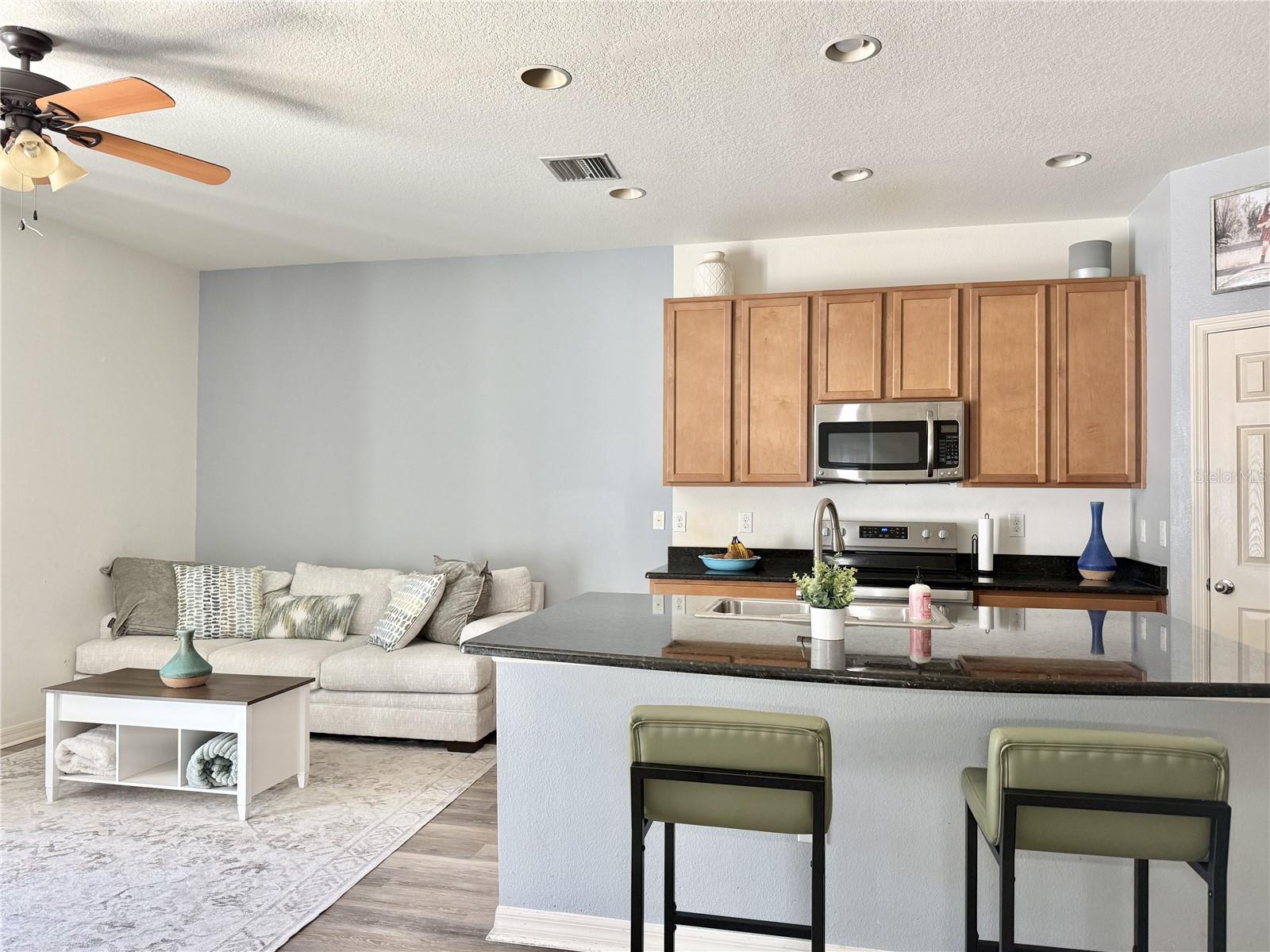 Living and Kitchen Areas