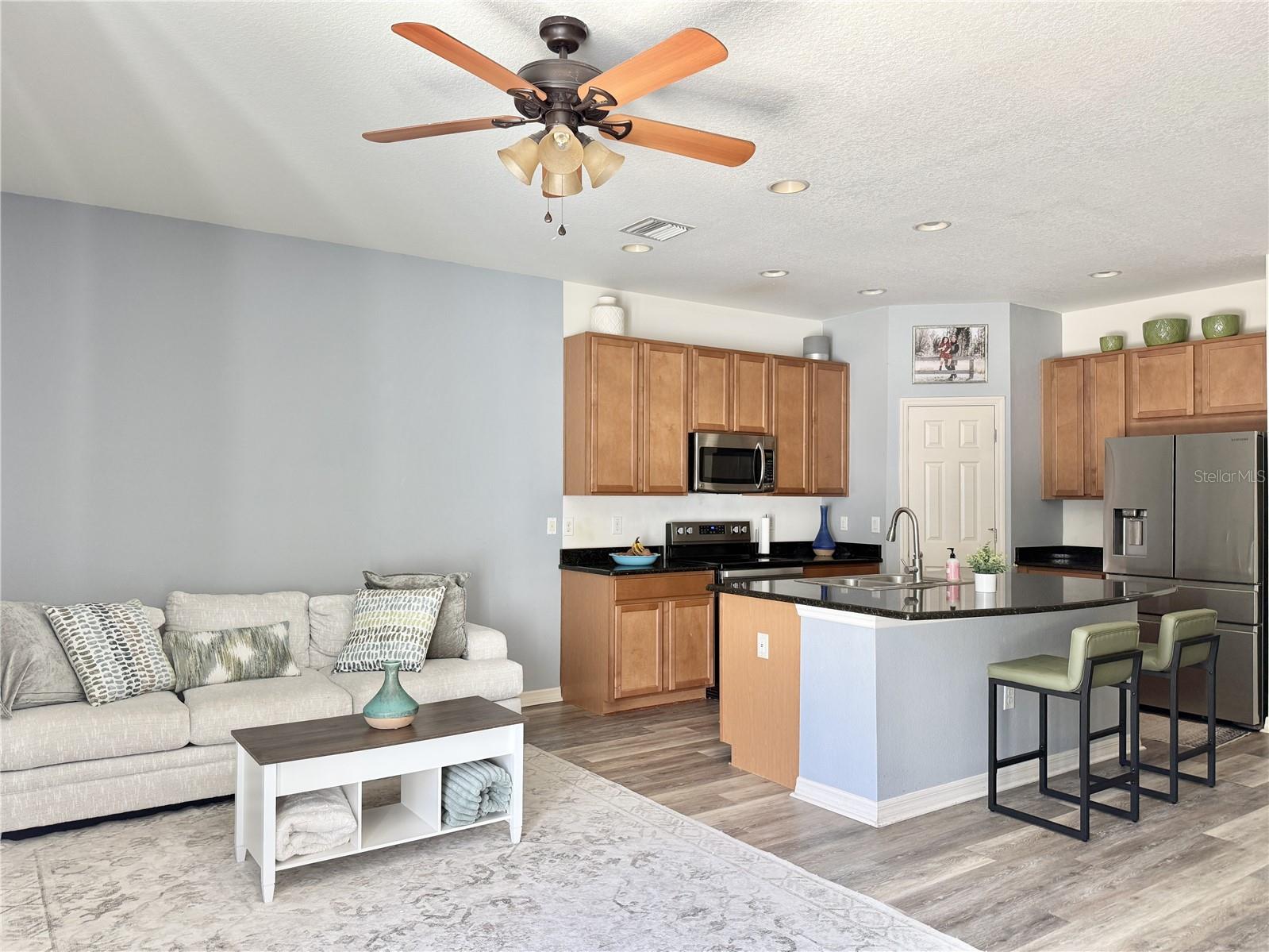 Living and Kitchen Areas