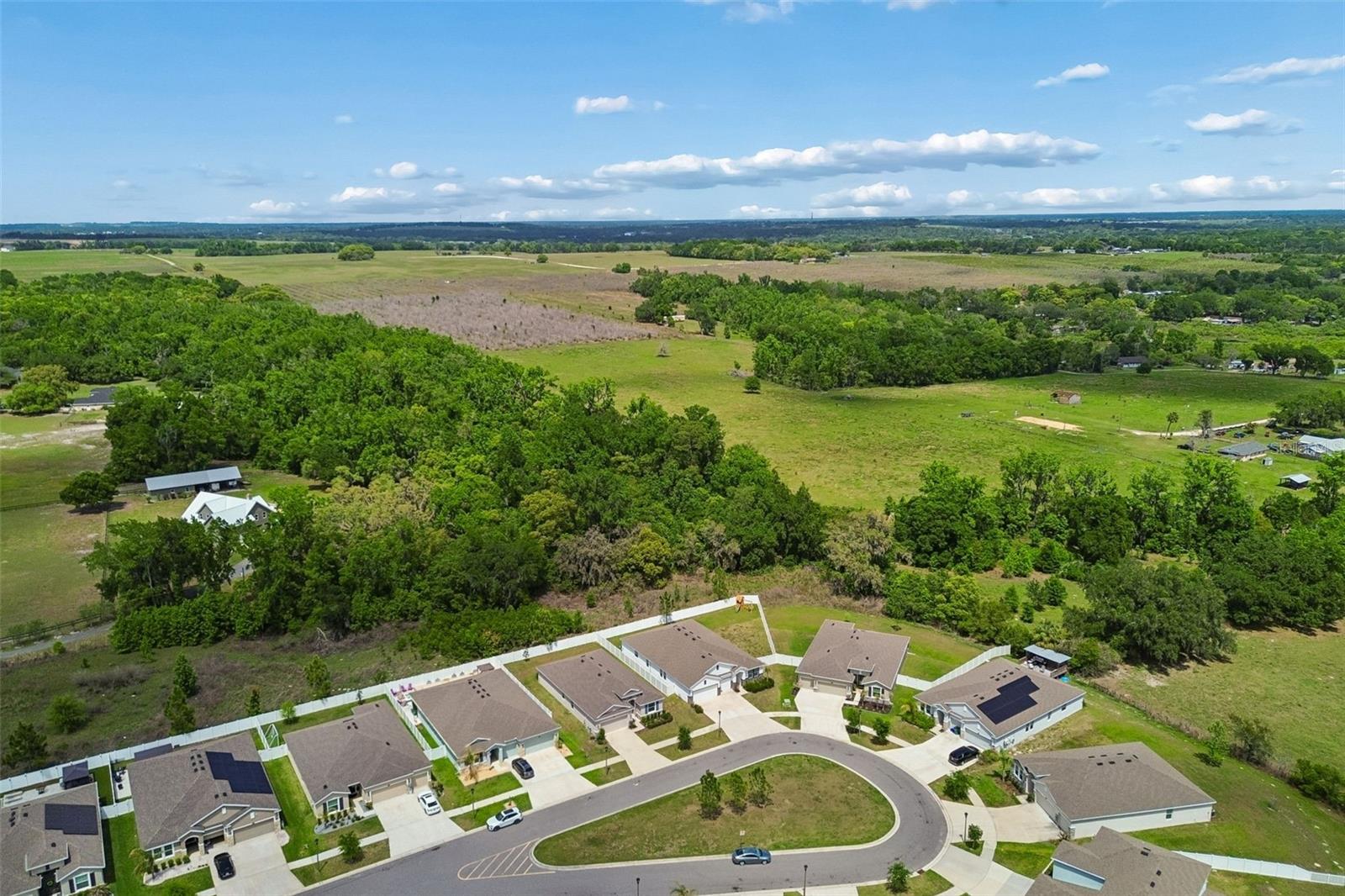 35977 MORSE WILLOW CT, ZEPHYRHILLS, FL, 33541