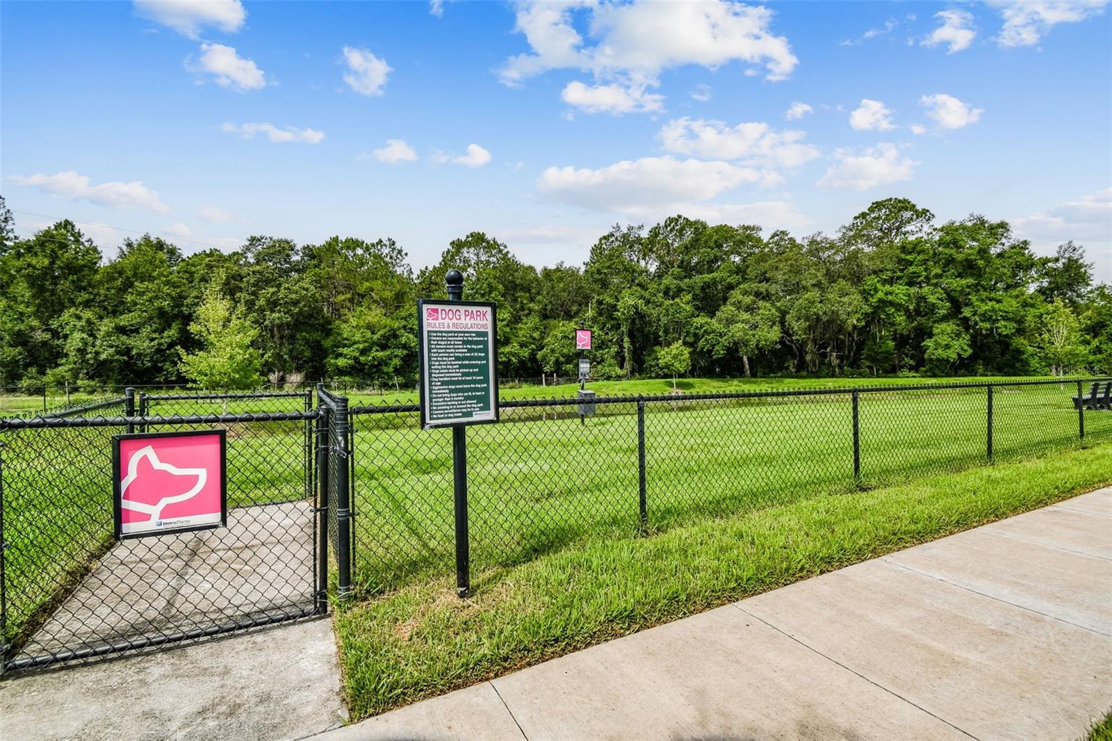 35977 MORSE WILLOW CT, ZEPHYRHILLS, FL, 33541