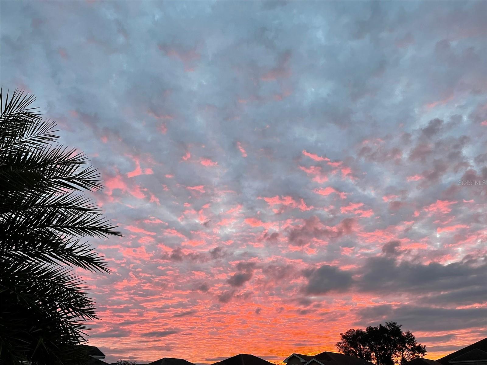 16114 MORNING DEW WAY, CLERMONT, FL, 34714