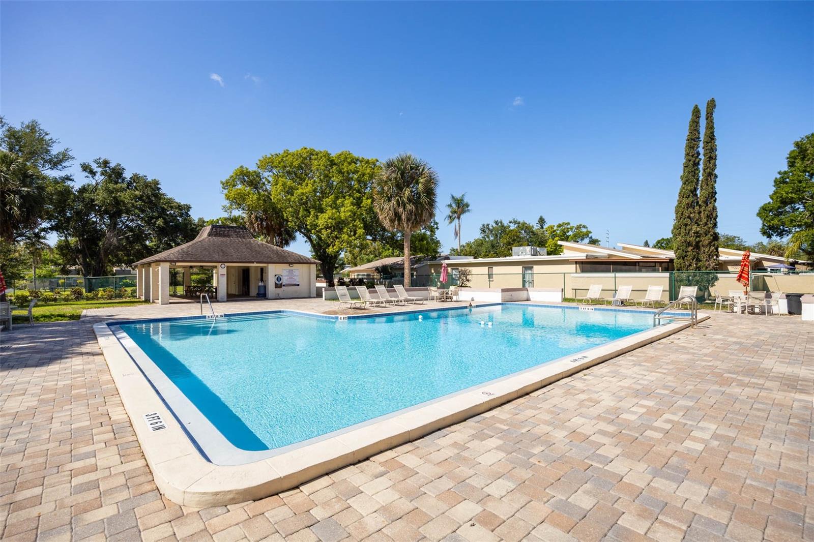 1597 AMBERLEA DR S #1597, DUNEDIN, FL, 34698