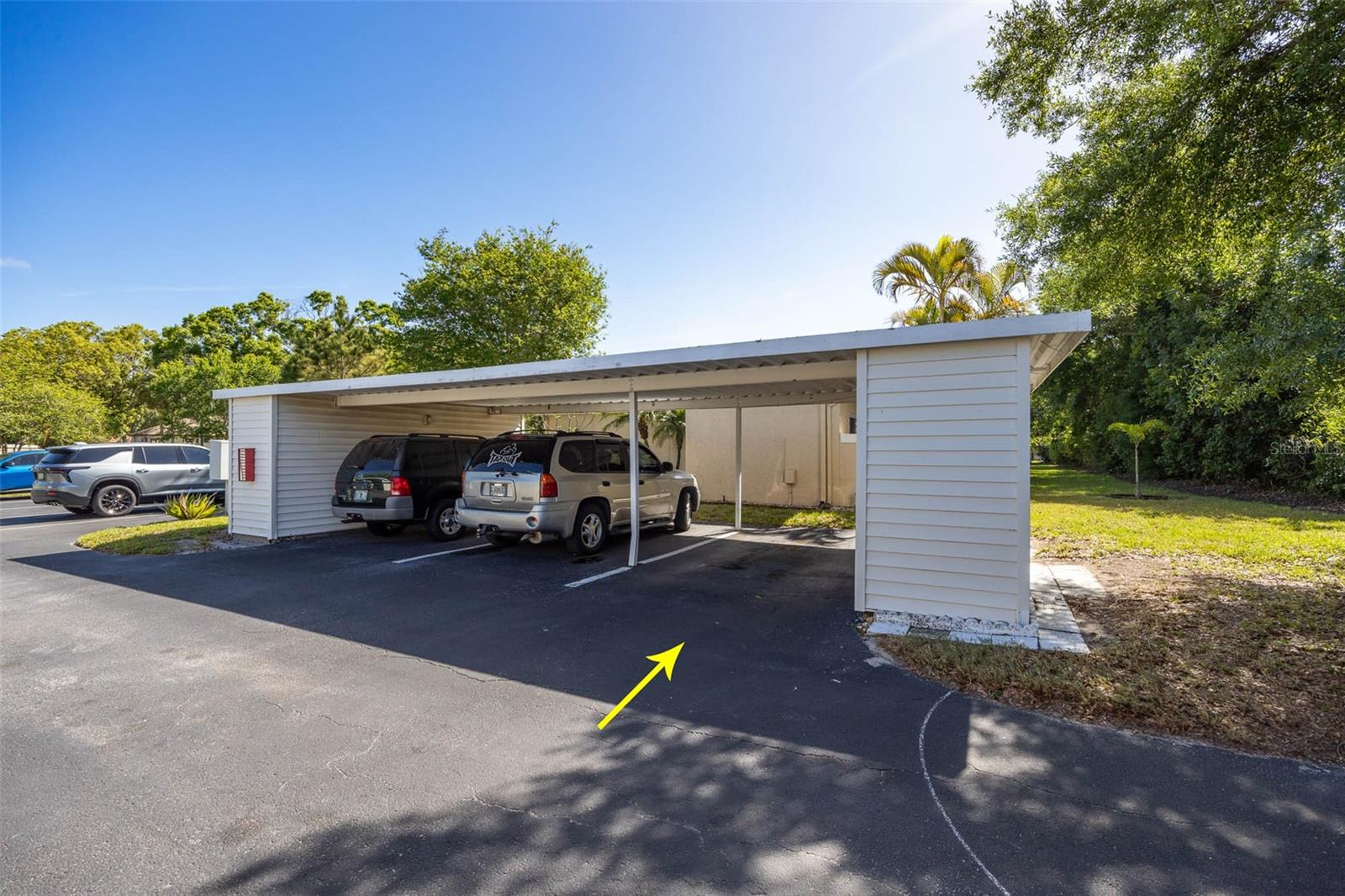 1597 AMBERLEA DR S #1597, DUNEDIN, FL, 34698