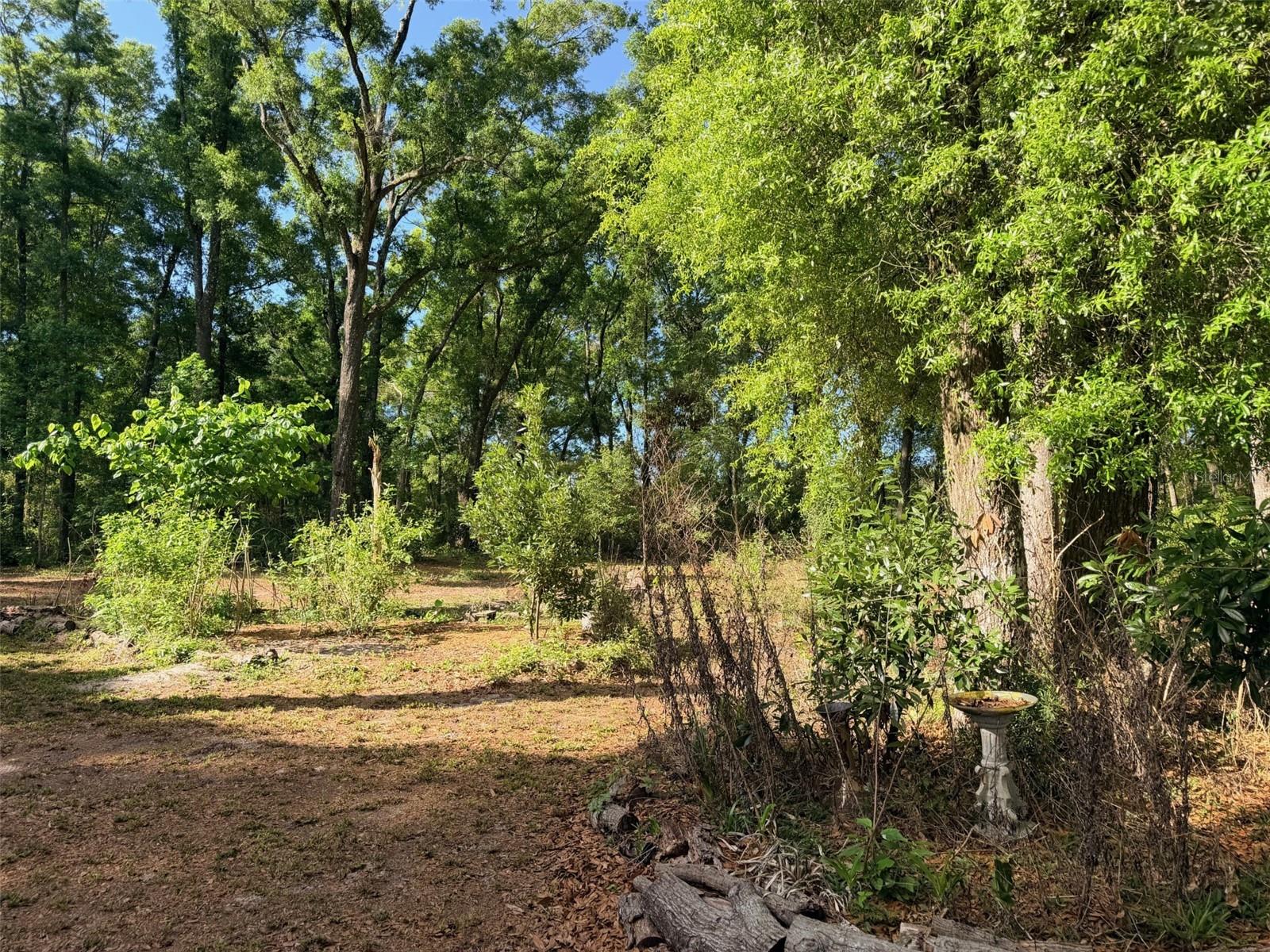 14790 NW 72ND CT, CHIEFLAND, FL, 32626