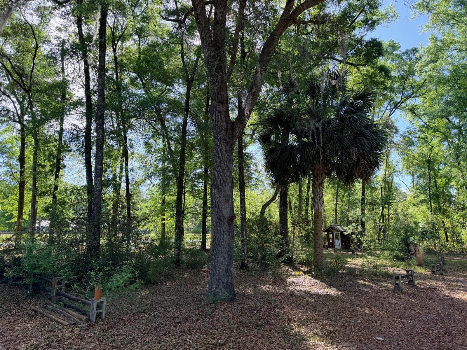 14790 NW 72ND CT, CHIEFLAND, FL, 32626