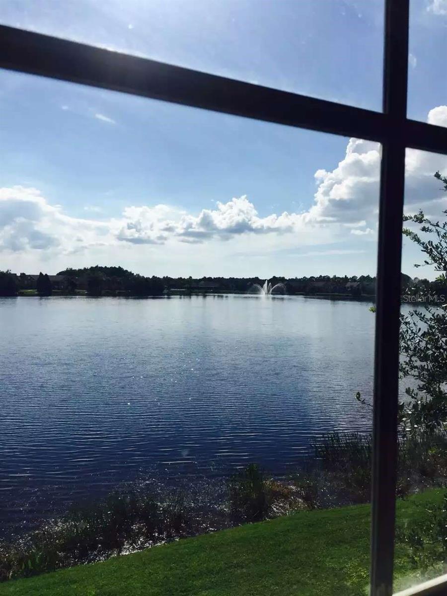 9020 LAKE CHASE ISLAND WAY #9020, TAMPA, FL, 33626