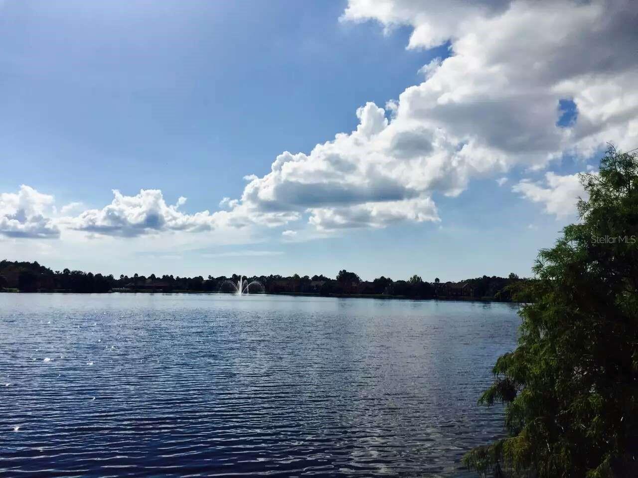 9020 LAKE CHASE ISLAND WAY #9020, TAMPA, FL, 33626