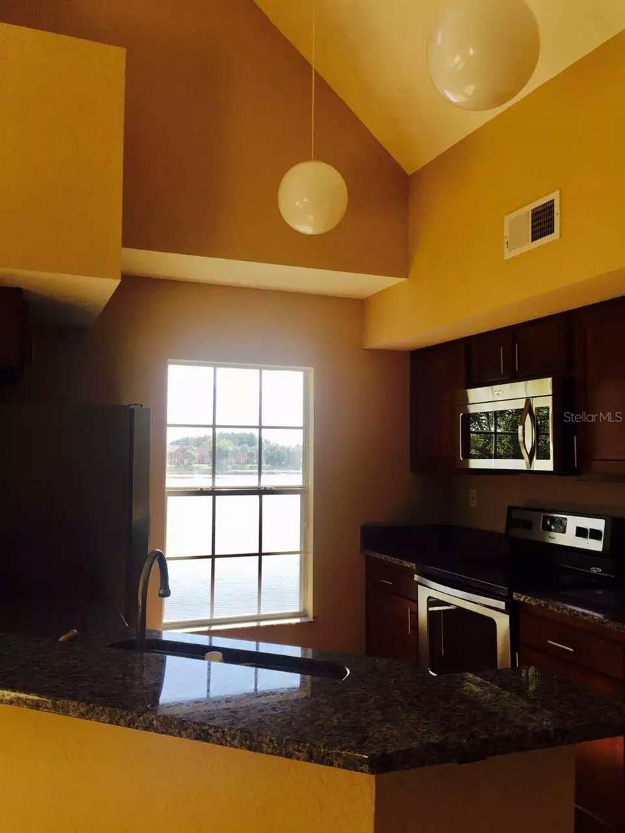 9020 LAKE CHASE ISLAND WAY #9020, TAMPA, FL, 33626