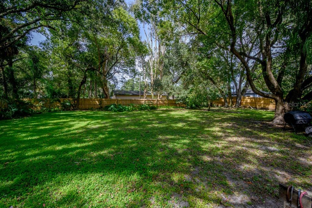 6010 N DEXTER AVE, TAMPA, FL, 33604