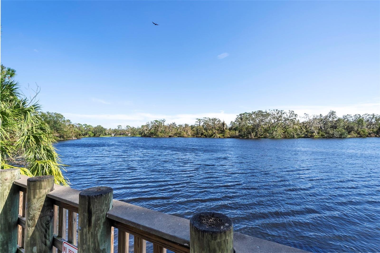 8204 VILLA GRANDE CT, SARASOTA, FL, 34243