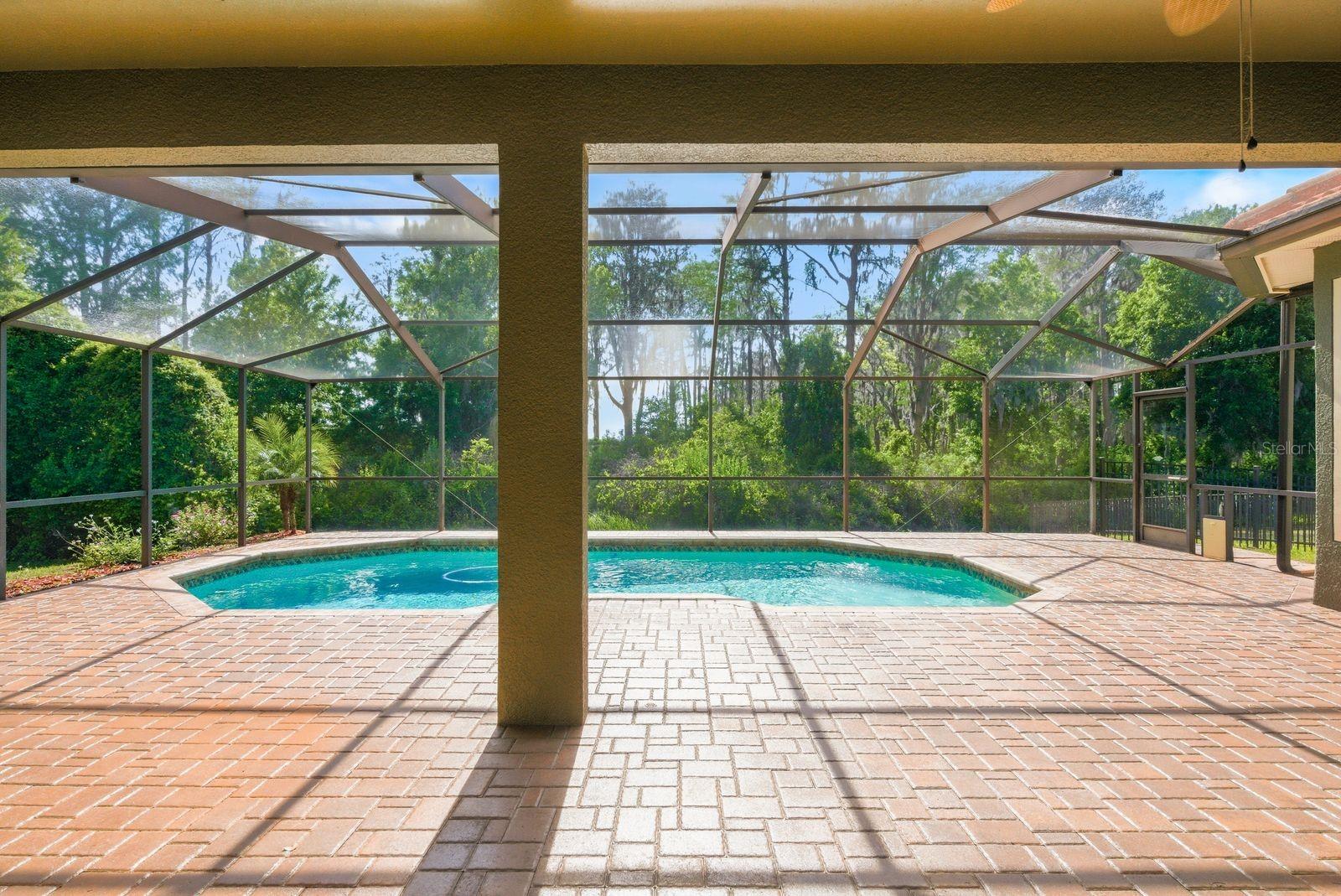 9103 CREEDMOOR LN, NEW PORT RICHEY, FL, 34654