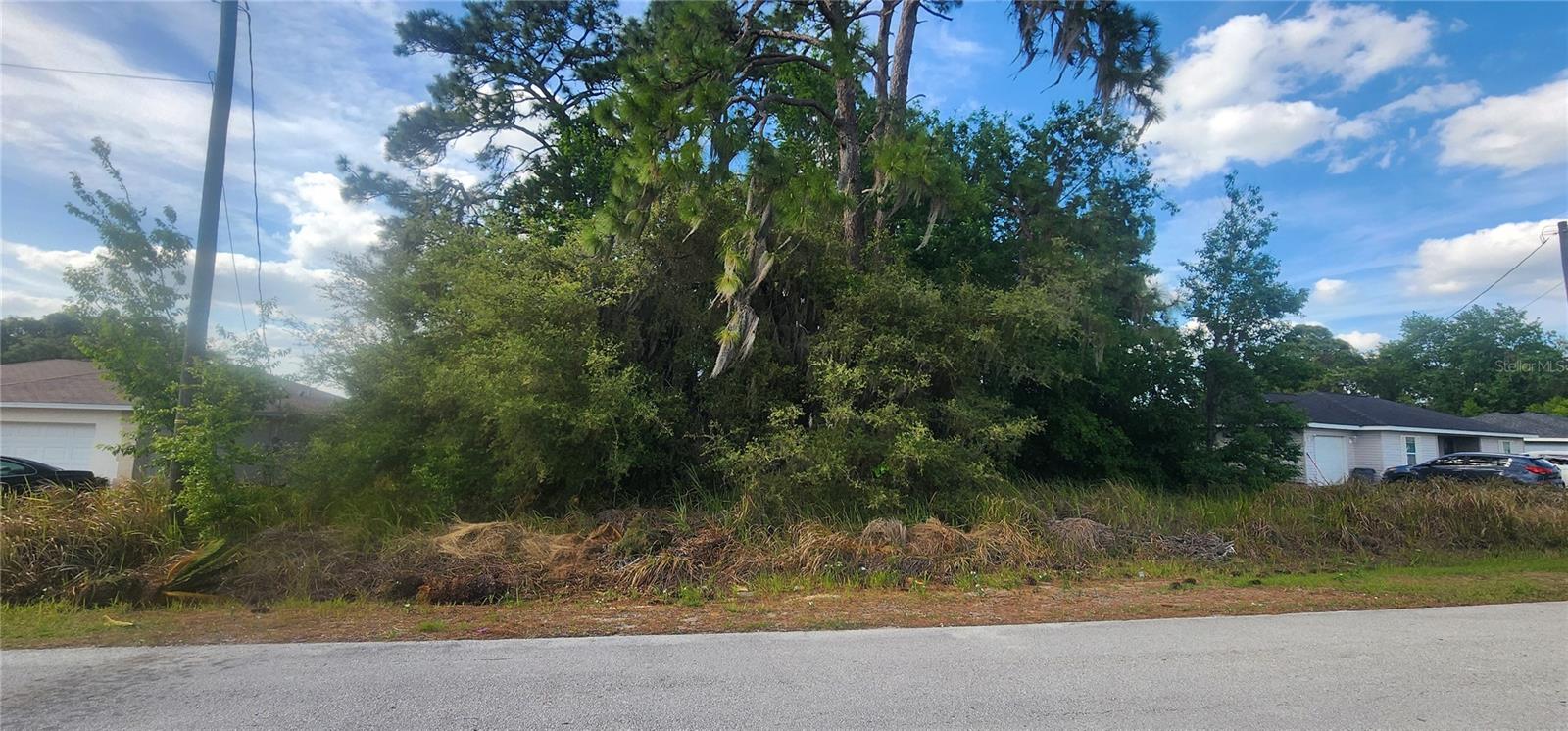 Lot 19 DOGWOOD DRIVE LOOP, OCALA, FL, 34472