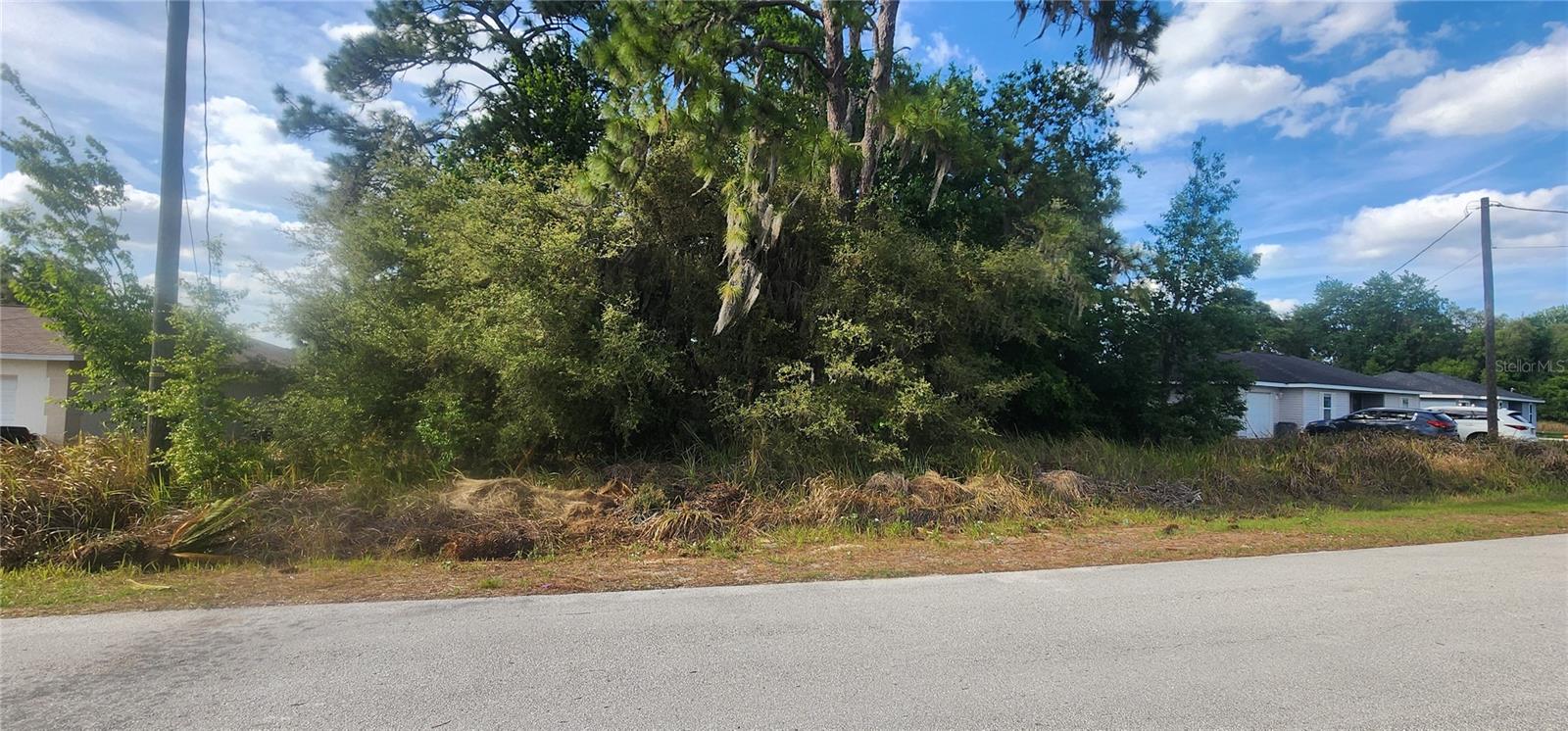 Lot 19 DOGWOOD DRIVE LOOP, OCALA, FL, 34472