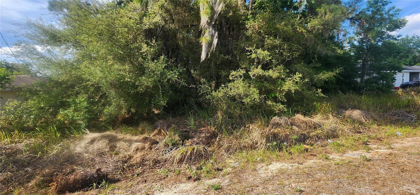 Lot 19 DOGWOOD DRIVE LOOP, OCALA, FL, 34472