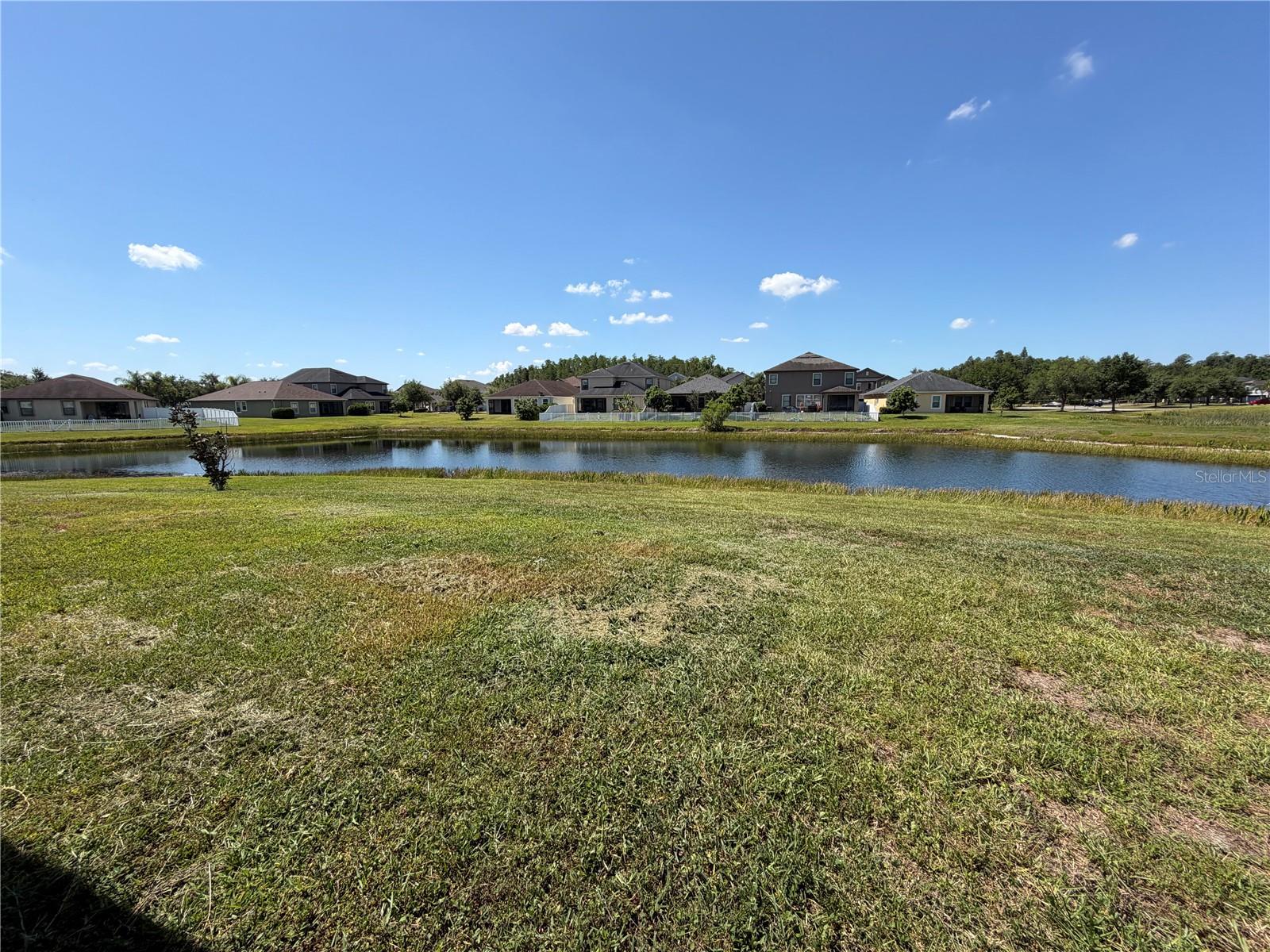 19417 PADDOCK VIEW DR, TAMPA, FL, 33647