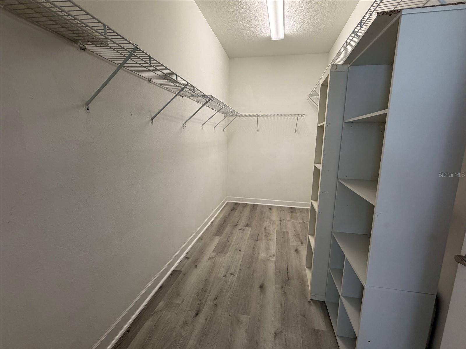 19417 PADDOCK VIEW DR, TAMPA, FL, 33647