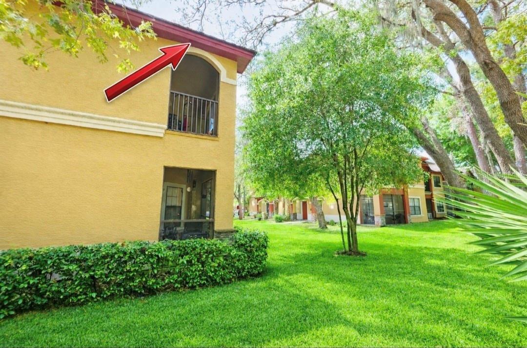 2171 PORTOFINO PL #27-2725, PALM HARBOR, FL, 34683