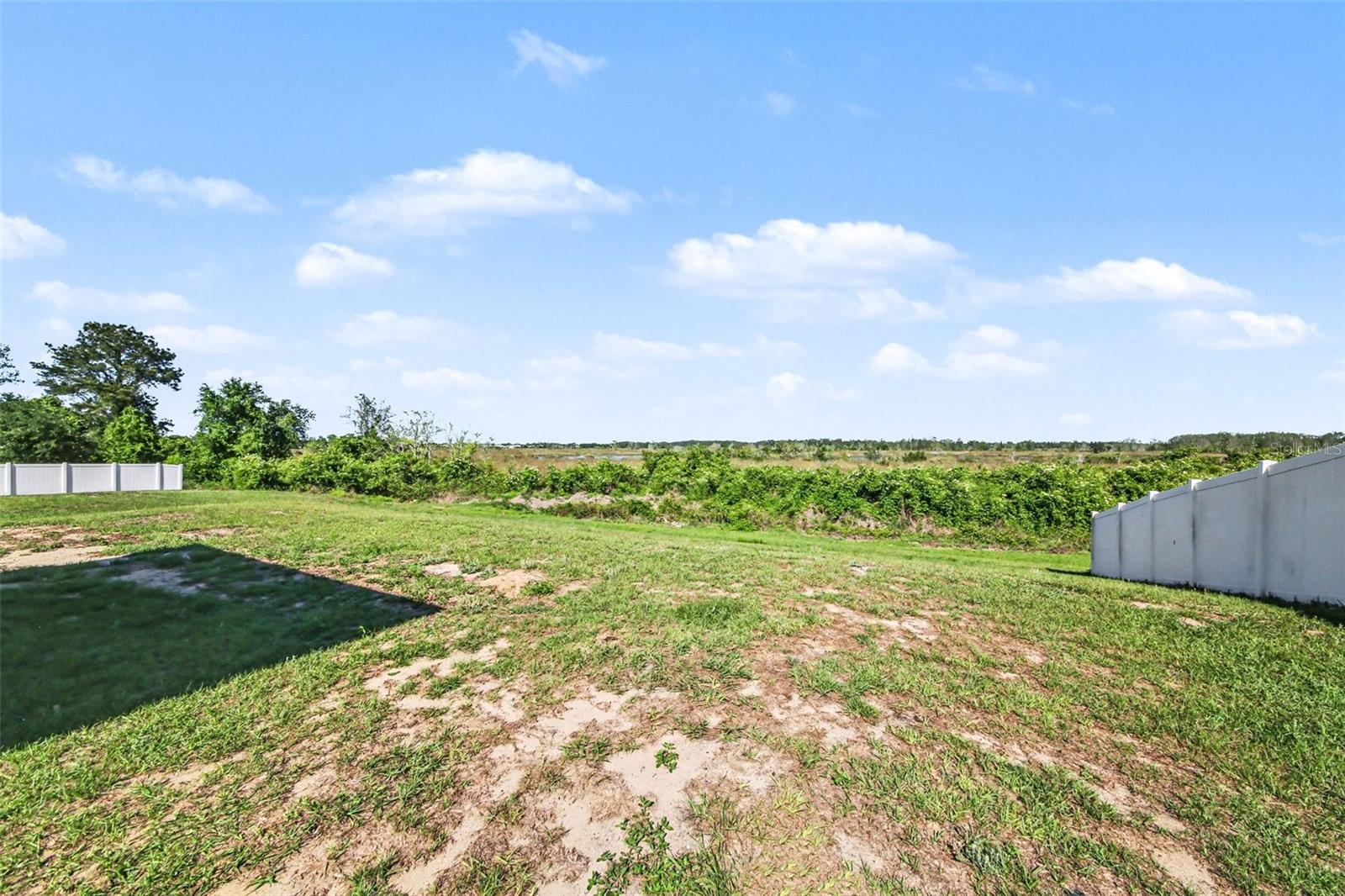 1011 BLUEGRASS DR, GROVELAND, FL, 34736