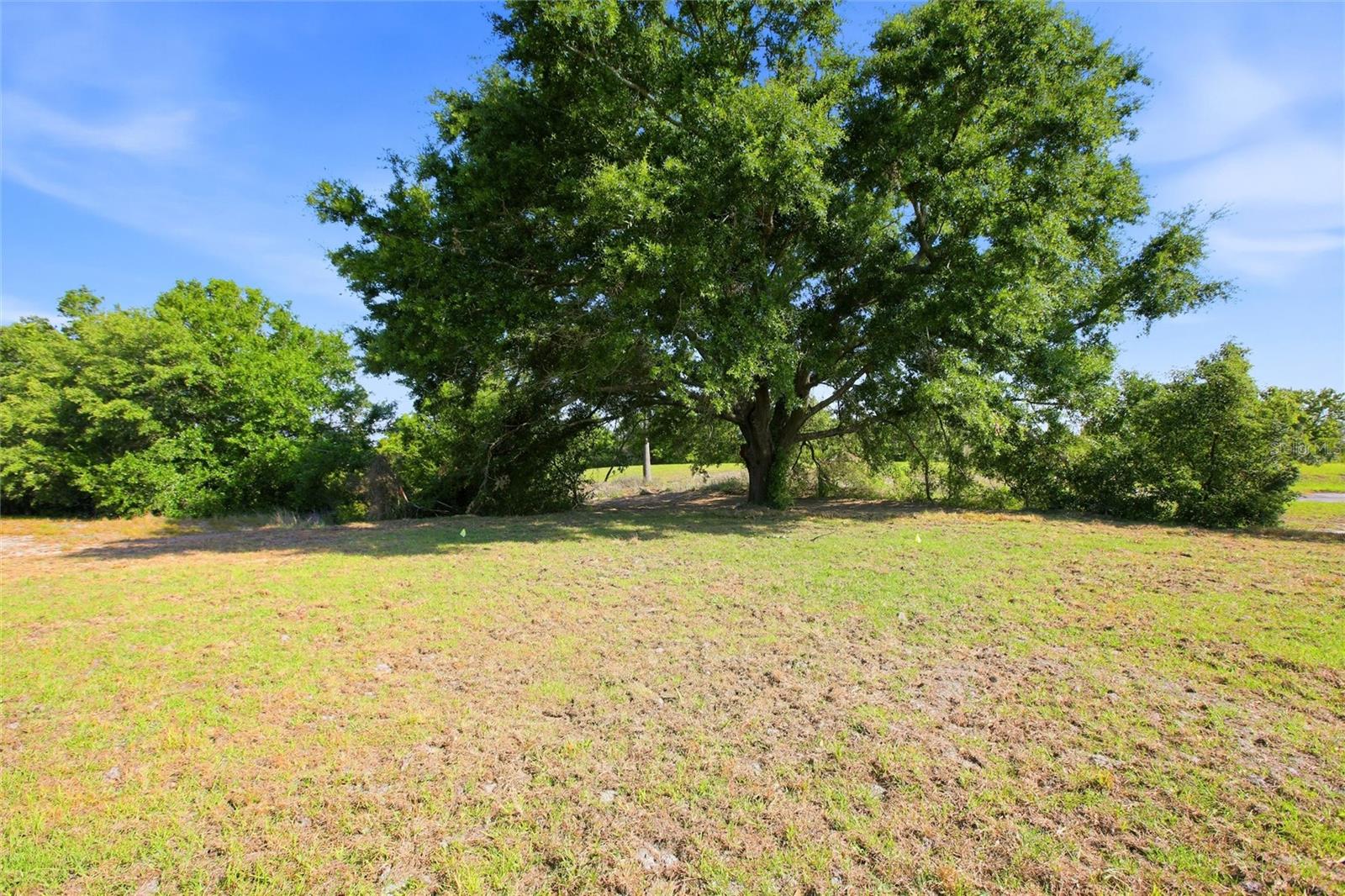 1313 BLUE HERON DR, SEBRING, FL, 33876