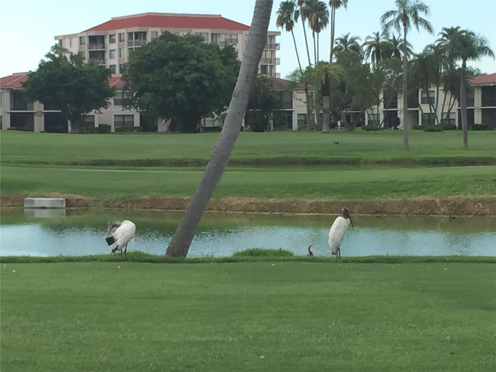 6180 SUN BLVD #115, ST PETERSBURG, FL, 33715