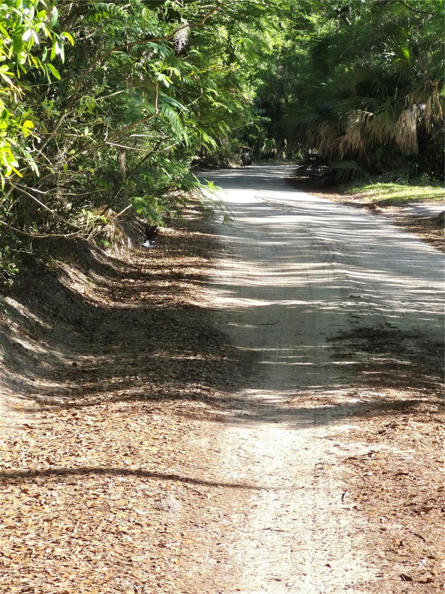 SW 153RD LANE, DUNNELLON, FL, 34432