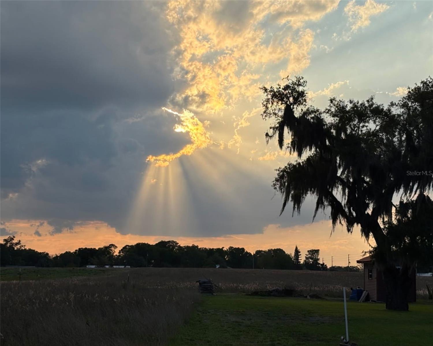 3919 SPARTA RD, SEBRING, FL, 33875