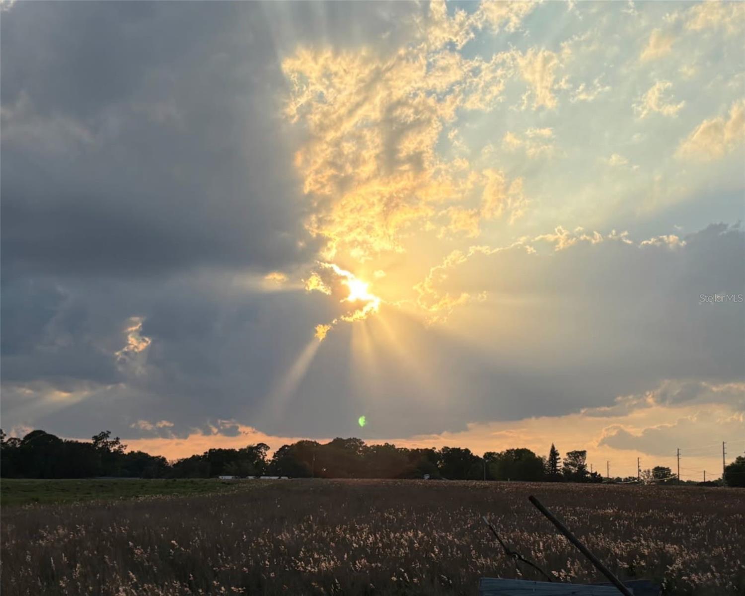 3919 SPARTA RD, SEBRING, FL, 33875