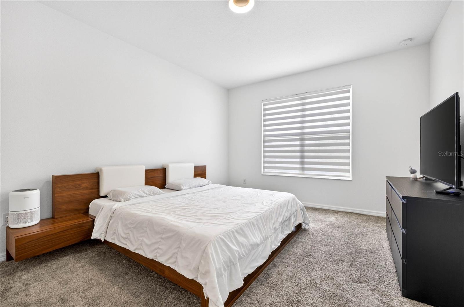 34212 EVERGREEN HILL, WESLEY CHAPEL, FL, 33545