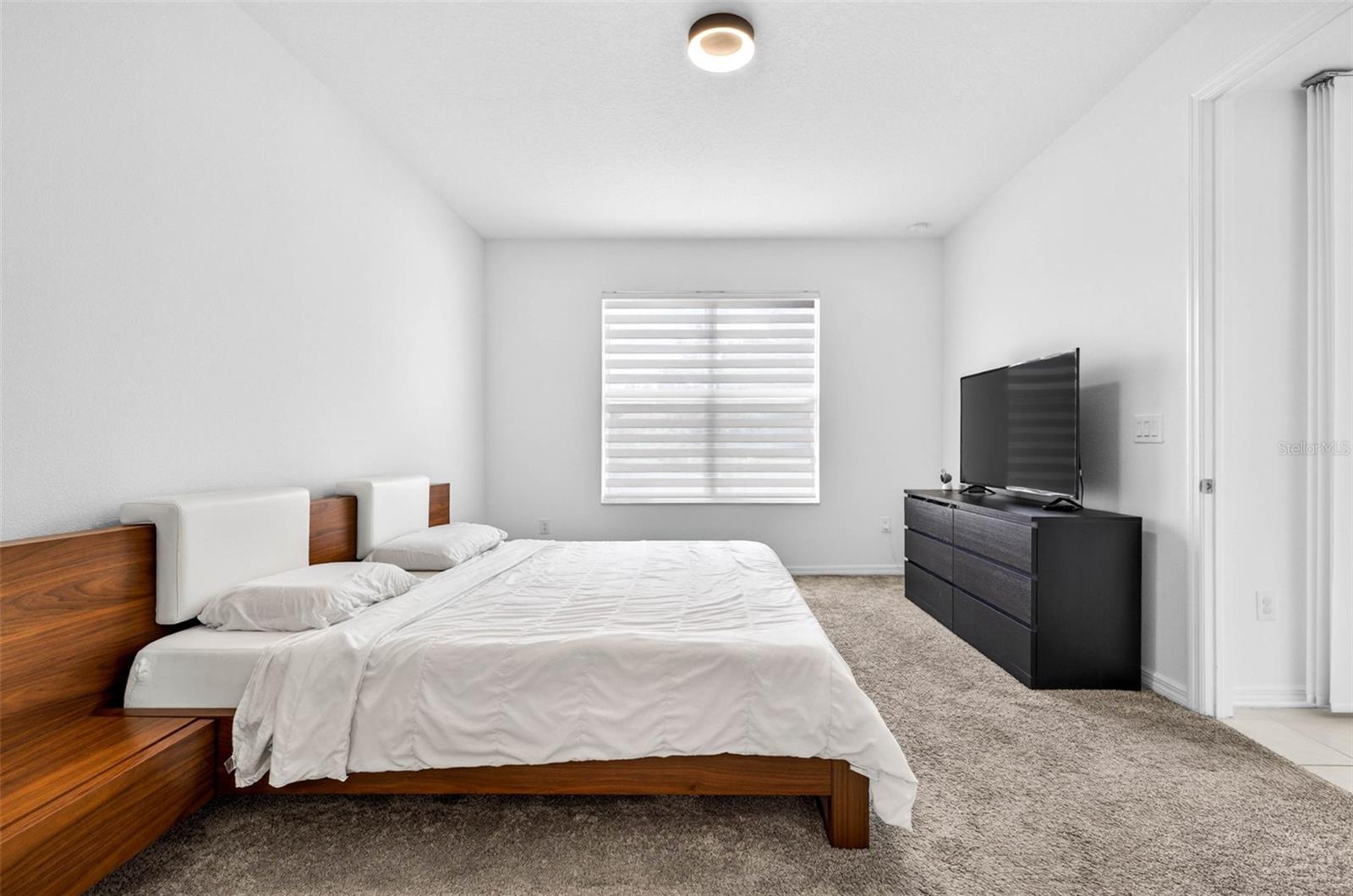 34212 EVERGREEN HILL, WESLEY CHAPEL, FL, 33545