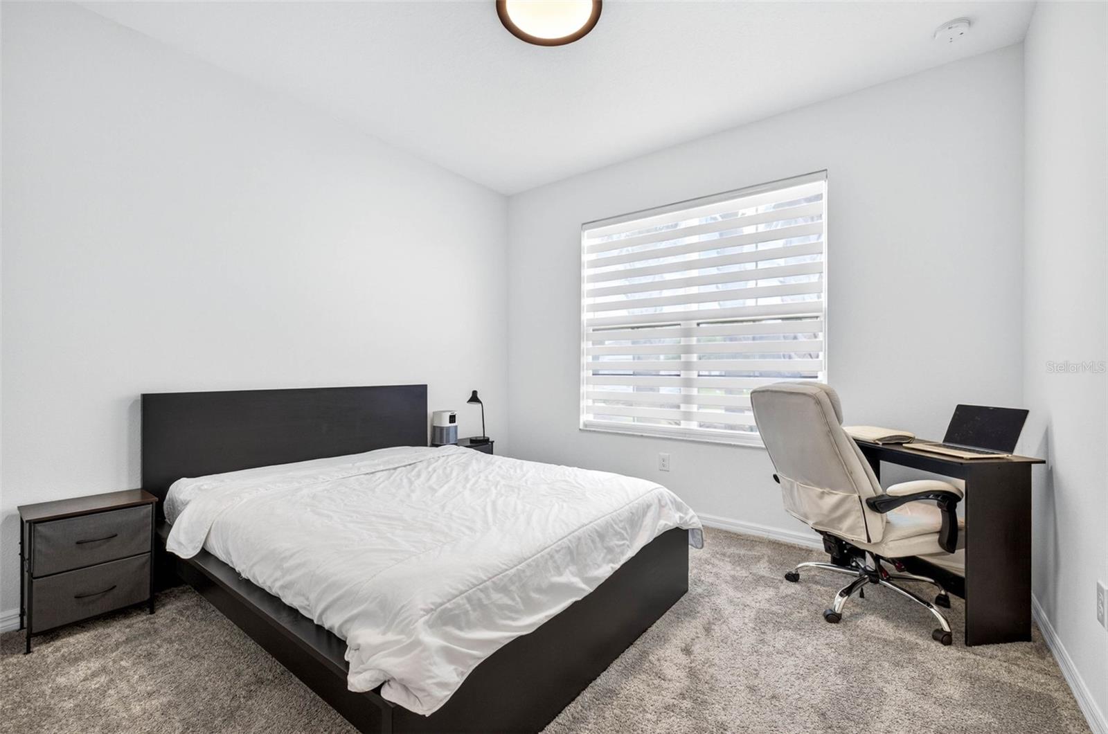 34212 EVERGREEN HILL, WESLEY CHAPEL, FL, 33545