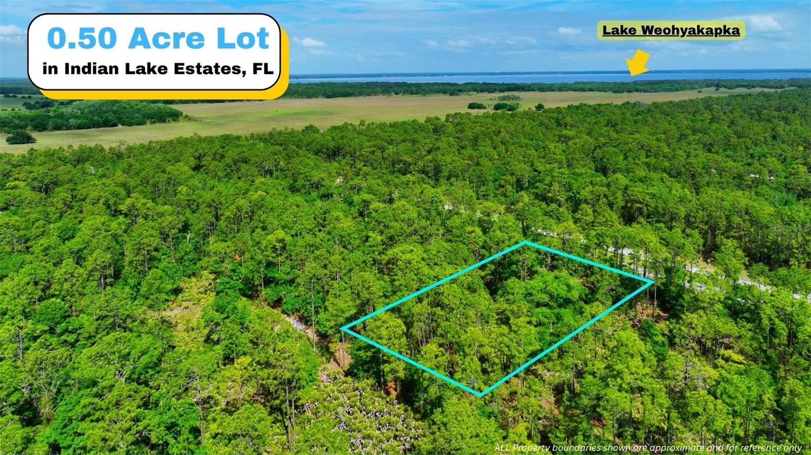 TBD LOT 20 JAPONICA AVE, INDIAN LAKE ESTATES, FL, 33855